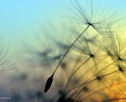 Loslassen können - Online Beratung, Gedankenanstoss