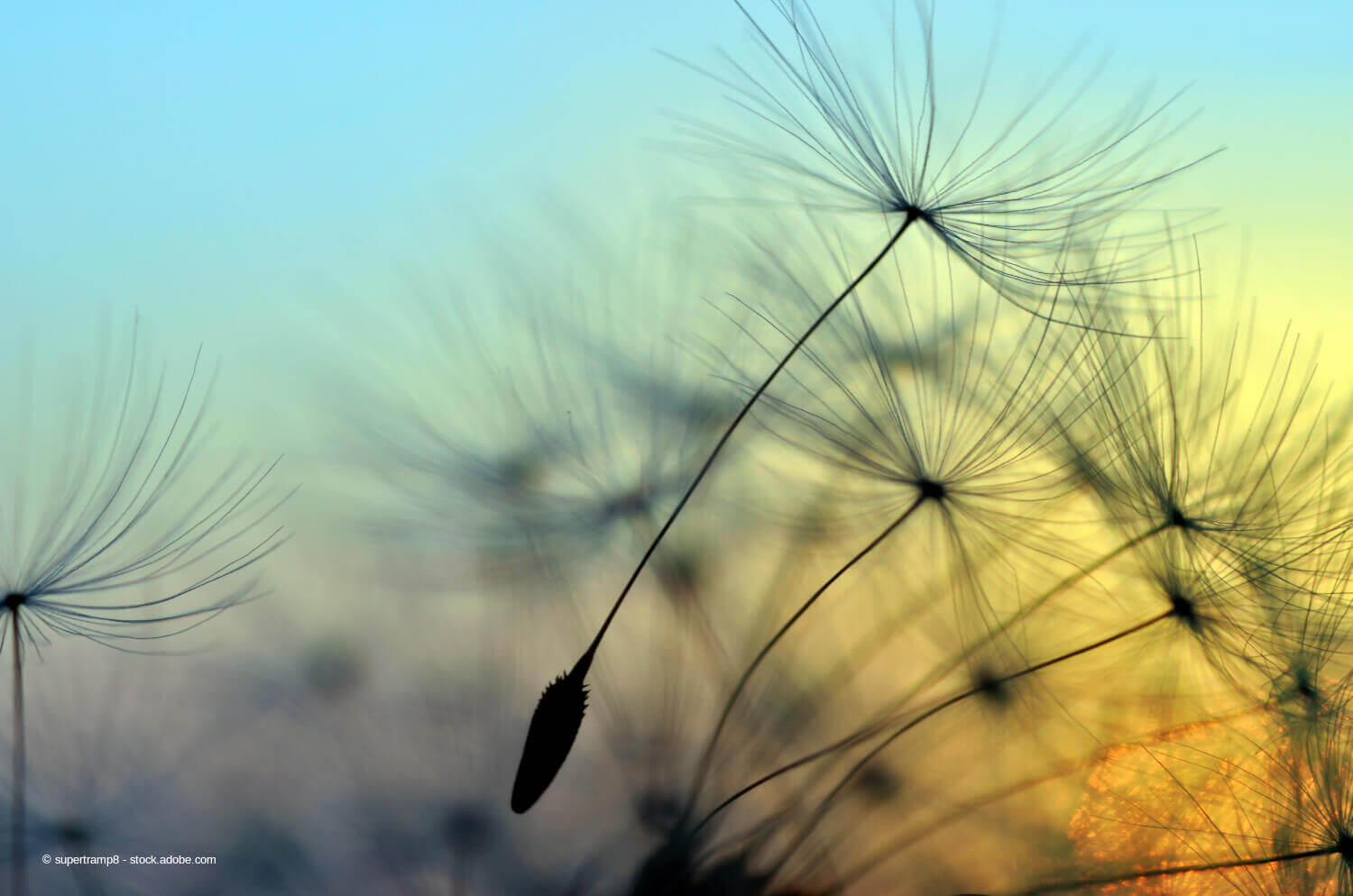Loslassen können - Online Beratung, Gedankenanstoss