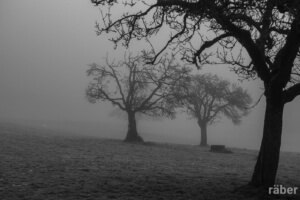 Herbstzeit, Nebelzeit - Depressionen künden sich an