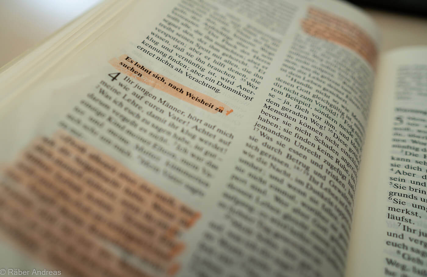 Die Bibel entdecken, lesen, studieren und verstehen