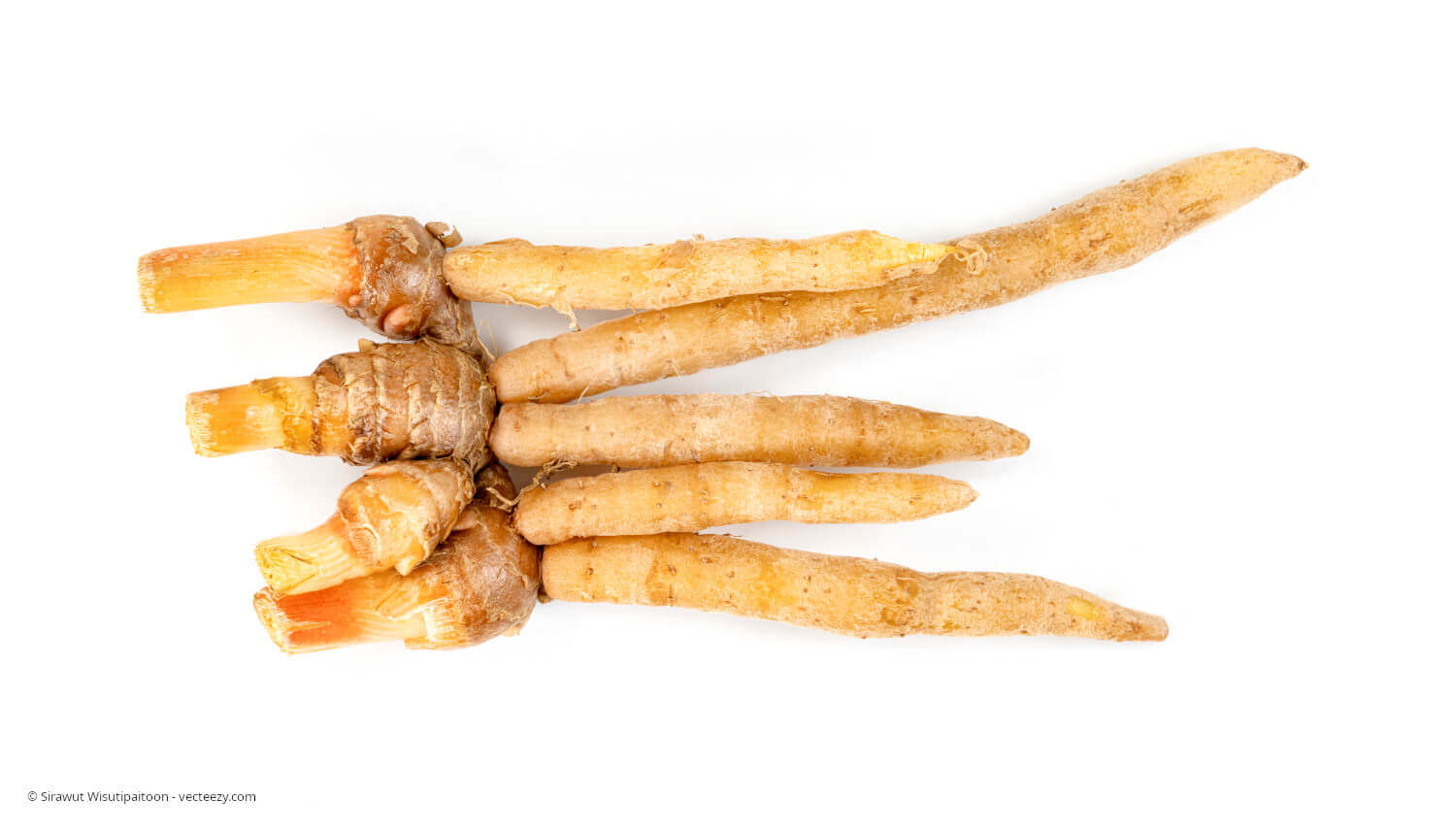 Gingseng: heilsame Unterstützung aus der Natur